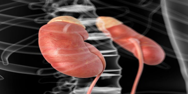 What is Congenital Adrenal Hyperplasma?