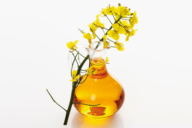 कैनोला तेल (Canola oil)