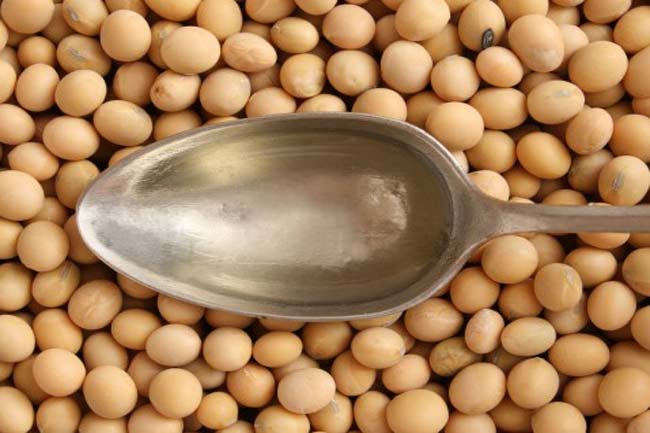 उच्च ओलिक सोयाबीन तेल (High oleic soybean oil)