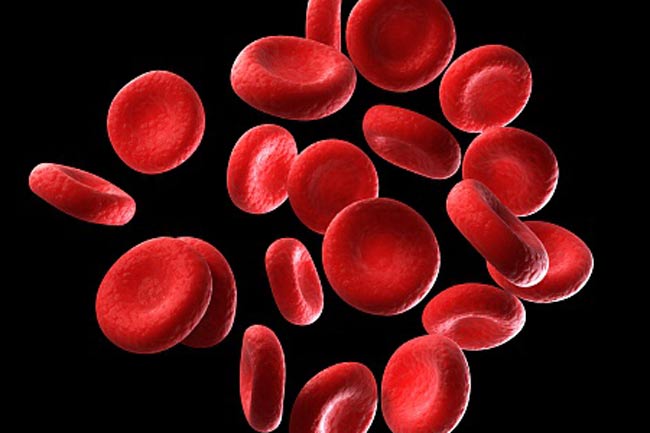 There are Different Types of Blood