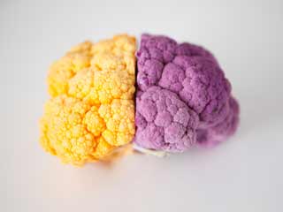 Foods to Fight Brain Cancer