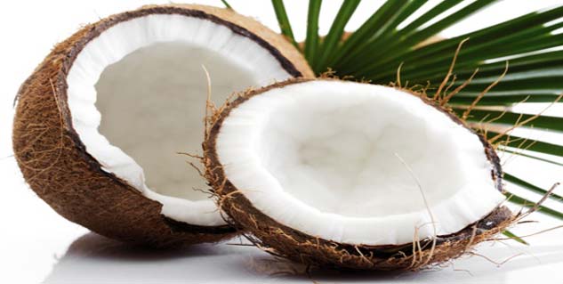 नारियल तेल coconut oil in hindi