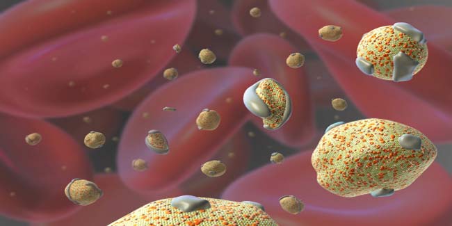 Home remedies for cholesterol imbalance