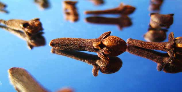 benefits of clove in hindi 