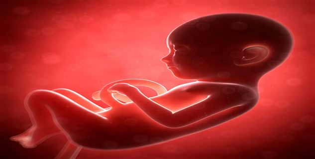 Foetus भ्रुण