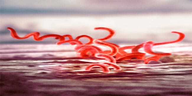 Here is what you should know about this 'new' STD
