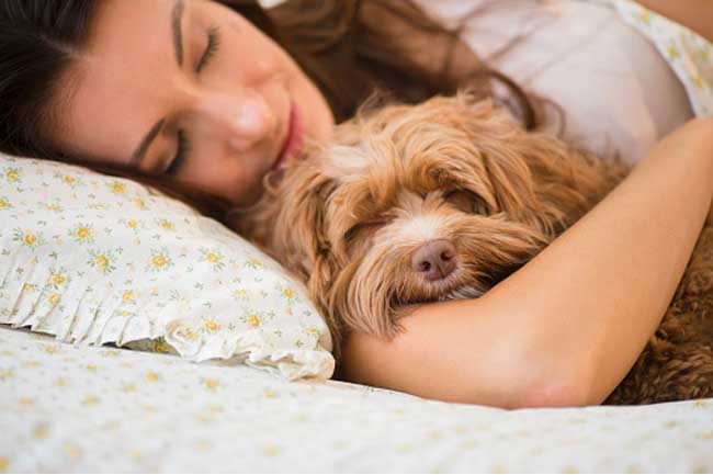 Better Sleep