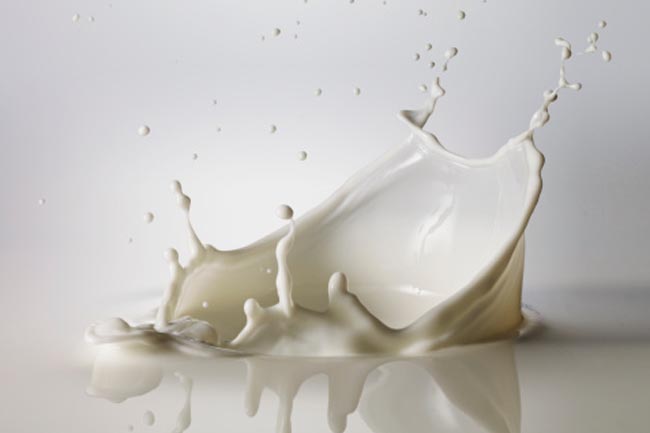 Dairy