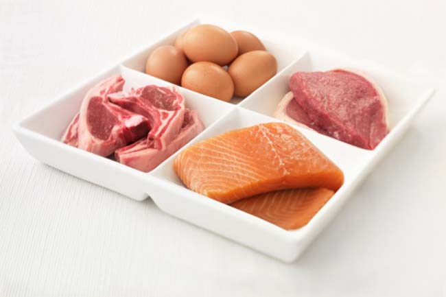 Protein in Every Meal