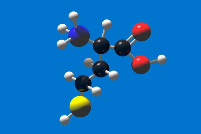 होमोसिस्टीन (Homocysteine)