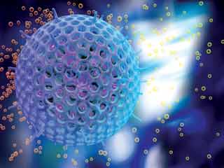What are the causes of Encephalitis?