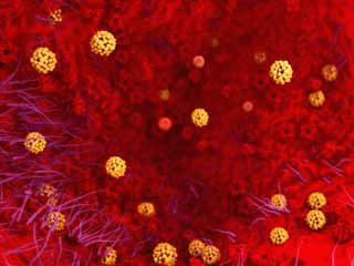 Fat Cells contribute to Body&rsquo;s Defence against Pathogens