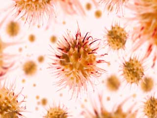 Salivary Gland Cancer:Are You at Risk?