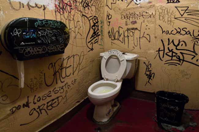 Step 2: Clean the toilet seat with toilet paper.