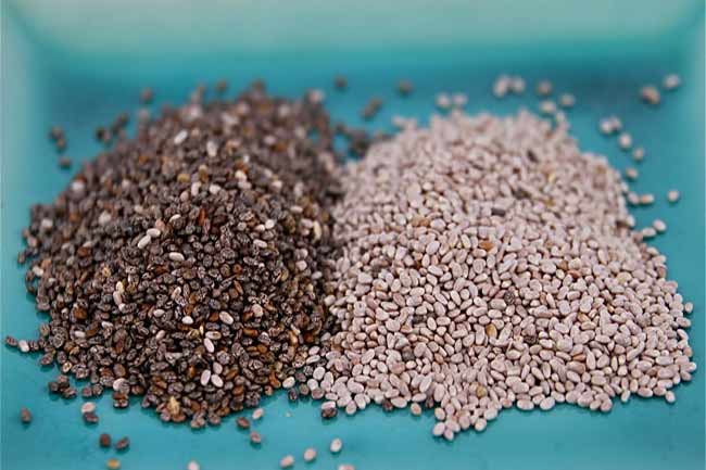 Types of Salba seeds