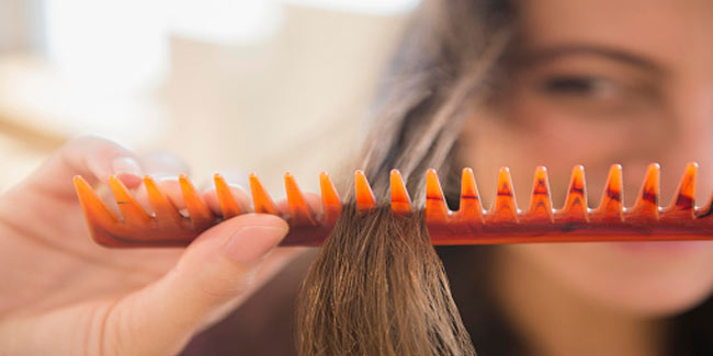 Types of combs and their uses