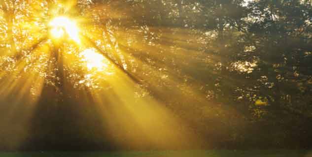 सूरज की किरणें sun rays in hindi