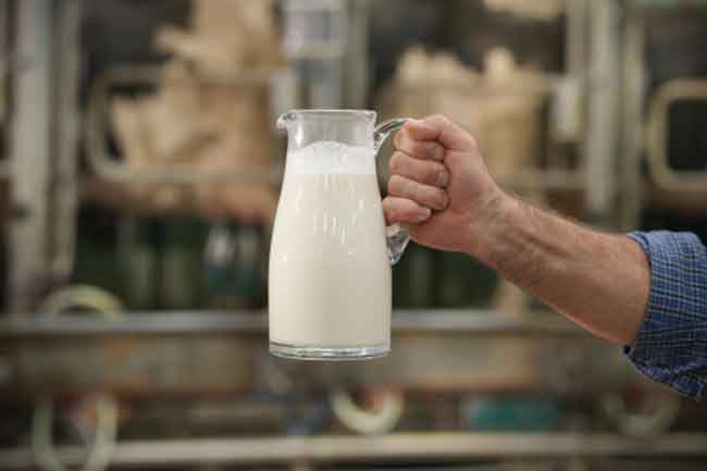 Organic Cow’s Milk