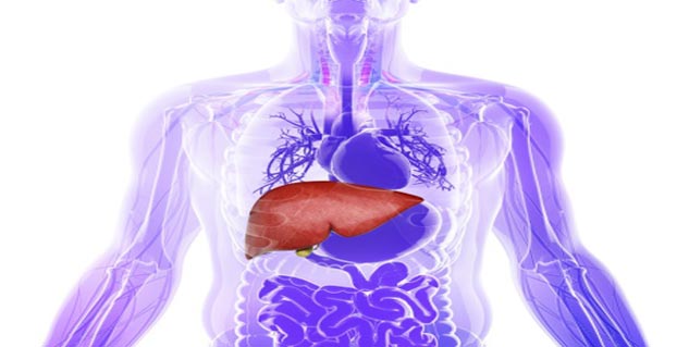 लीवर कैंसर liver in Hindi