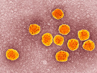 World Hepatitis Day: Experts point at prospect of Hepatitis C epidemic in Australia