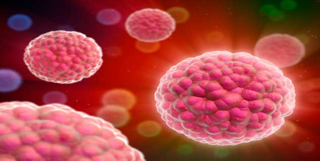 कैंसर कोशिकाएं cancer cell in hindi