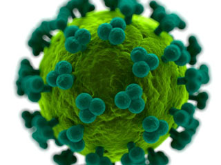 Clinical trial is being planned for MERS vaccine
