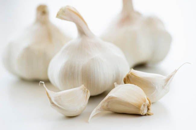Garlic