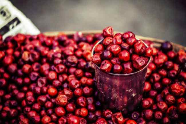 Berries