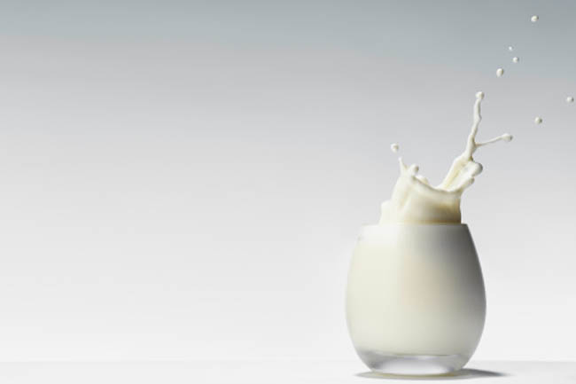 Whole Milk