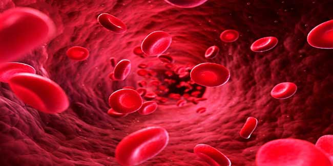 Ways you can Increase Platelet Count in Dengue Fever