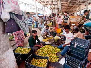 Growth of pesticide-laced vegetables has increased in India