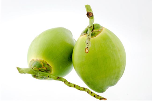 नारियल तेल के गुण