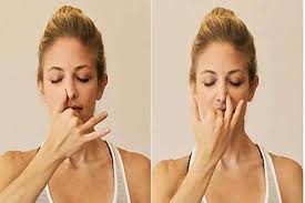 भस्त्रिका प्राणायाम (Bhastrika Pranayama)