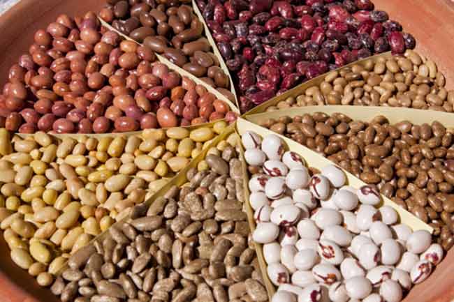 Beans