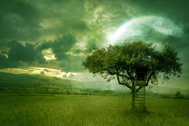 सुकून देंगे ये भारतीय पर्यटन स्थल