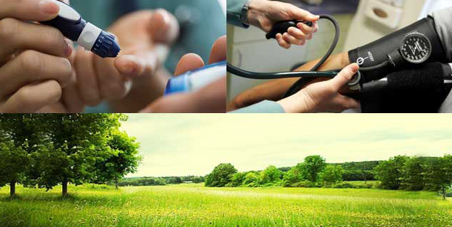 हरियाली वाला वातावरण greeenery in hindi