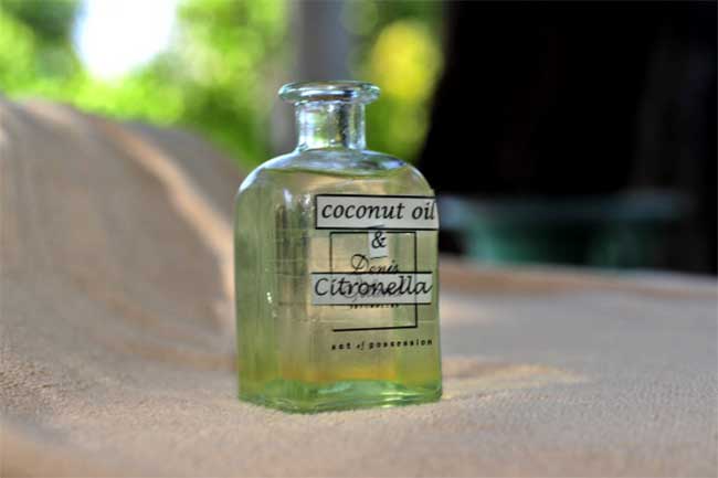 नारियल तेल (Coconut Oil)