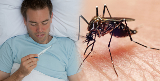 चिकनगुनिया chickengunia in hindi