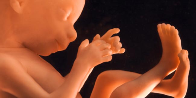 इन लक्षणों से रहें सावधान, हो सकते हैं गर्भपात के संकेत!