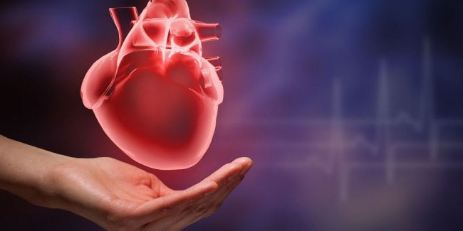 गर्भाशय कैंसर में एस्प्रिन का नियमित इस्तेमाल सेहत के लिए घातक!