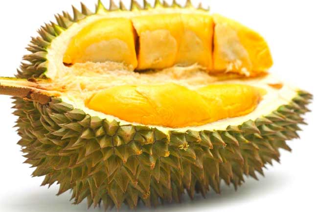 डरियन (Durian) और कैनिस्टेल (Canistel)