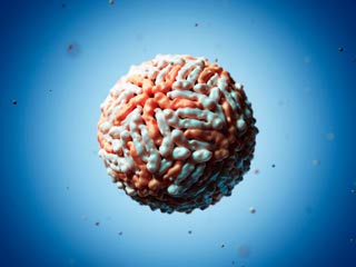 1st case of Zika virus disease reported in the US