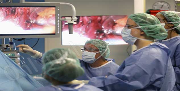 Hiatal Hernias in Hindi 	