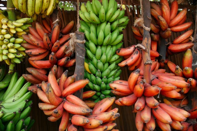 लाल केला खाना फायदेमंद