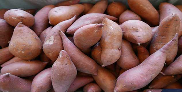 what-is-the-meaning-of-a-potato-cuisine-as-language-for-biocultural