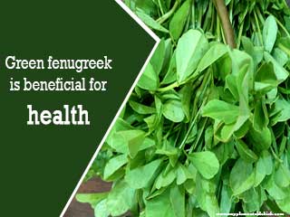 Green fenugreek is beneficial for health