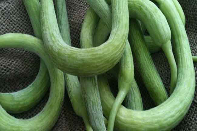 गुणों का भंडार ककड़ी