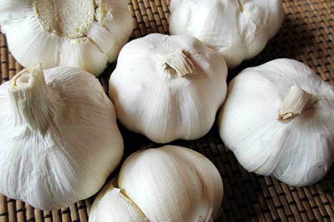 लहसुन (Garlic)