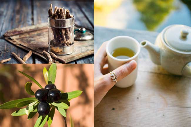 ग्रीन टी, ऑलिव की पत्ततियां और लीकोरिस (Licorice)