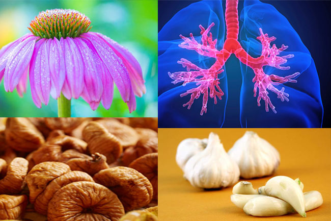 श्वसन संक्रमण और फेफड़ों के लिए हर्ब्स